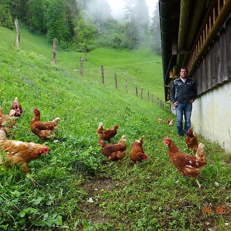 Berghof Burtscher Ludesch Dış mekan fotoğraf