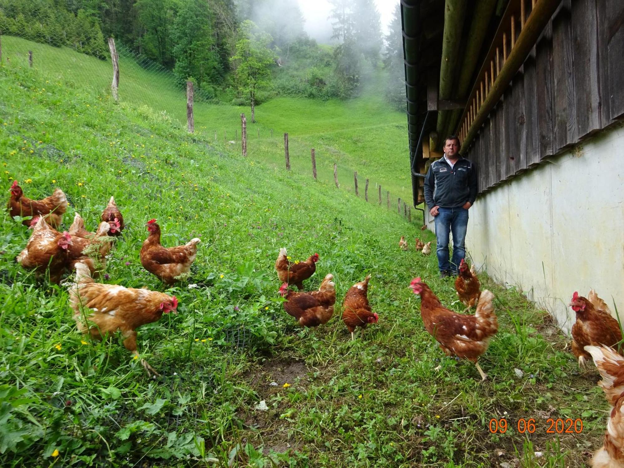 Berghof Burtscher Ludesch Dış mekan fotoğraf
